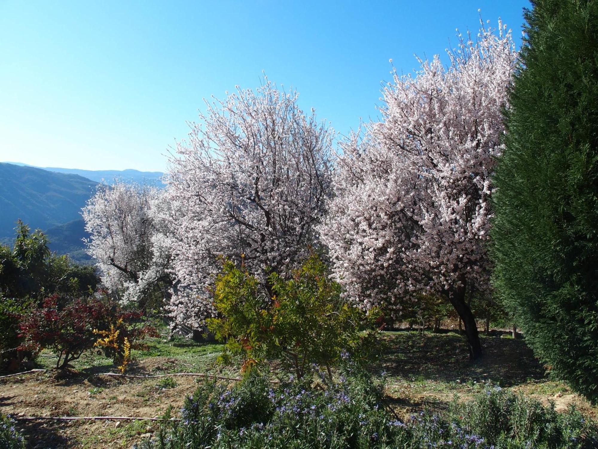 Отель Ktima Noosfera Wellness & Retreat Center Karia  Экстерьер фото